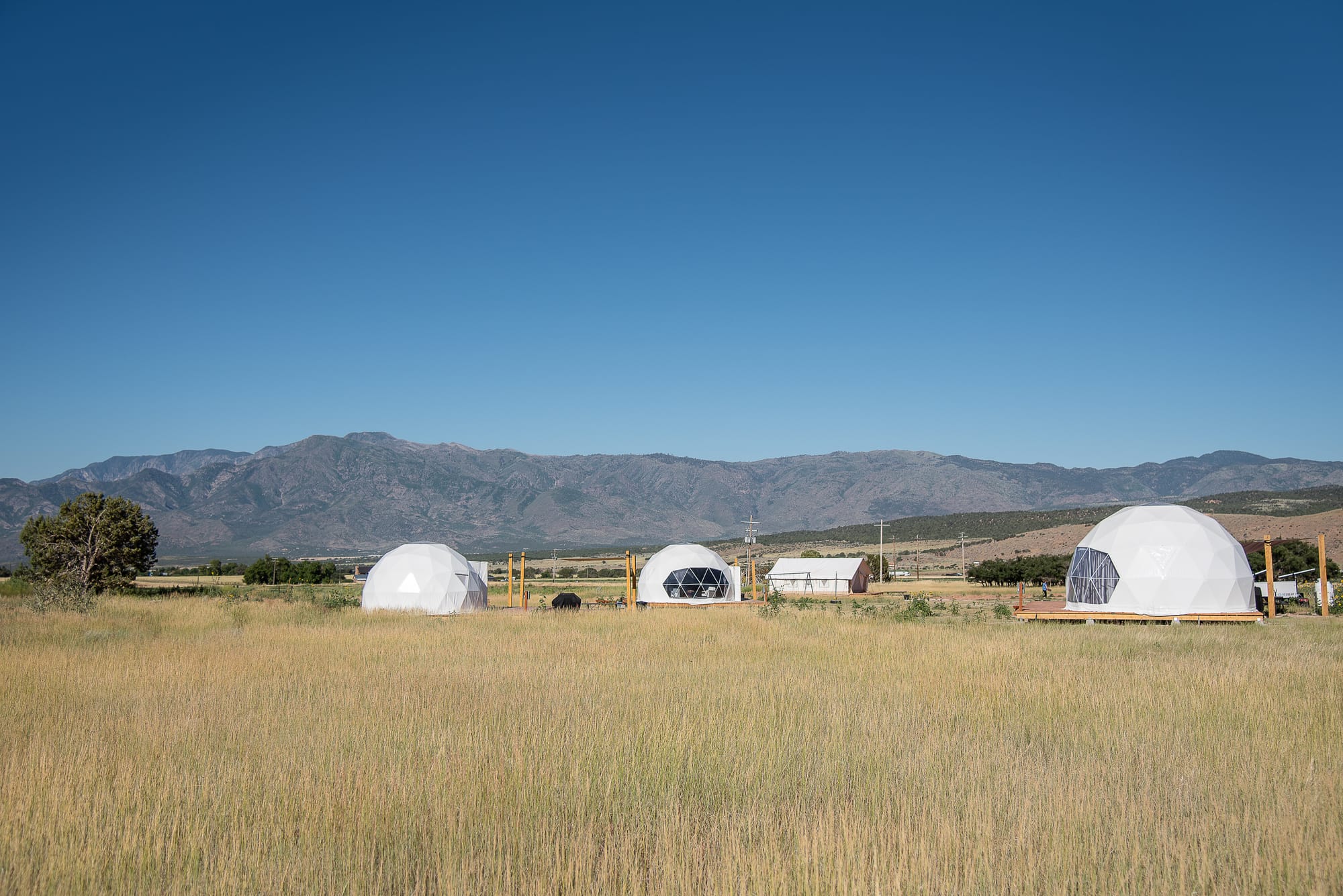 Glamping domes